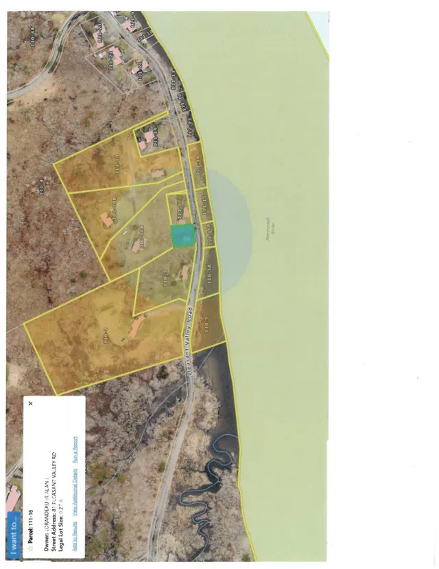 A rotated aerial/satellite view of the Pleasant Valley Road area showing parcel boundaries outlined in yellow, nearby homes, roadways, and the river corridor. A small map pop-up identifies Parcel 111-16 at 81 Pleasant Valley Road.