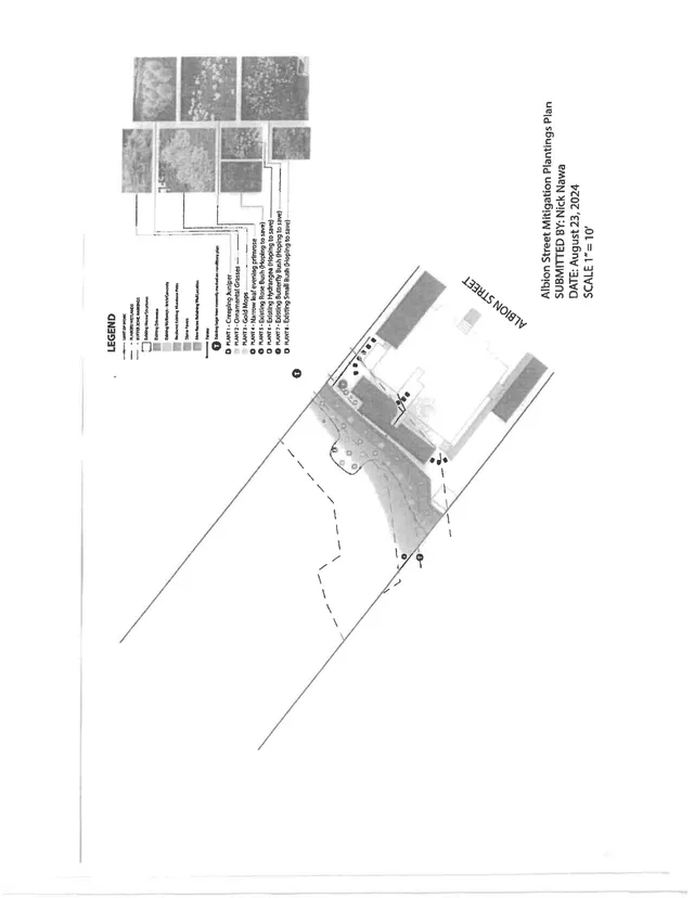 Grayscale planting and mitigation site plan for Albion Street showing proposed landscaping areas, labeled plant symbols, and the site layout around the building footprint and driveway. The sheet includes a legend and plan notes, but no perspective rendering.