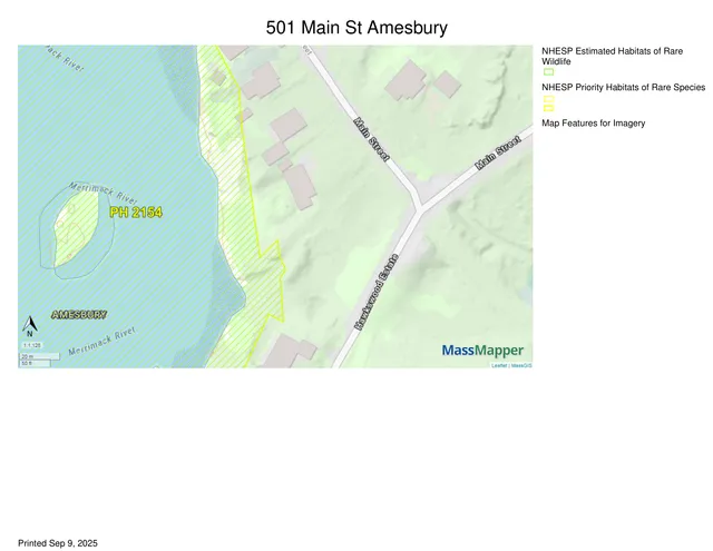 MassMapper map of 501 Main St in Amesbury showing NHESP estimated and priority habitats of rare wildlife/species near the Merrimack River. The site context includes Main Street, Hawkeswood Estate, nearby buildings, and hatched habitat boundary overlays.
