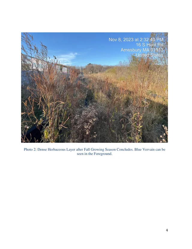 Existing-site photo of a dense herbaceous wetland or field area at 16 S Hunt Rd, with tall grasses and shrubs in the foreground and a roadway or embankment visible along the left edge under a clear blue sky. The page caption notes blue vervain in the foreground after the fall growing season.