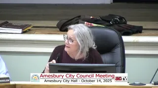 Mayor requests council rep to review special‑events permitting